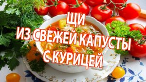 ЩИ ИЗ СВЕЖЕЙ КАПУСТЫ С КУРИЦЕЙ 🍲 | Лёгкий и вкусный рецепт домашнего супа за 3 минуты!