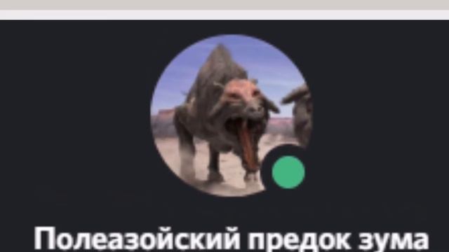 Видеоальбом  Съезд семьи зума