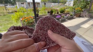 Лизаветина неделя. 23 - 29.2023