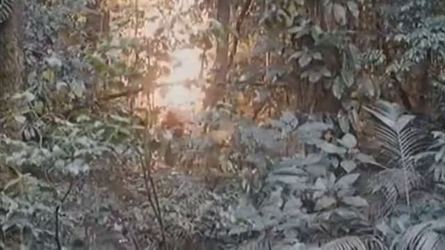 Хищник 1, 2 Киноляпы и интересные факты смотреть онлайн