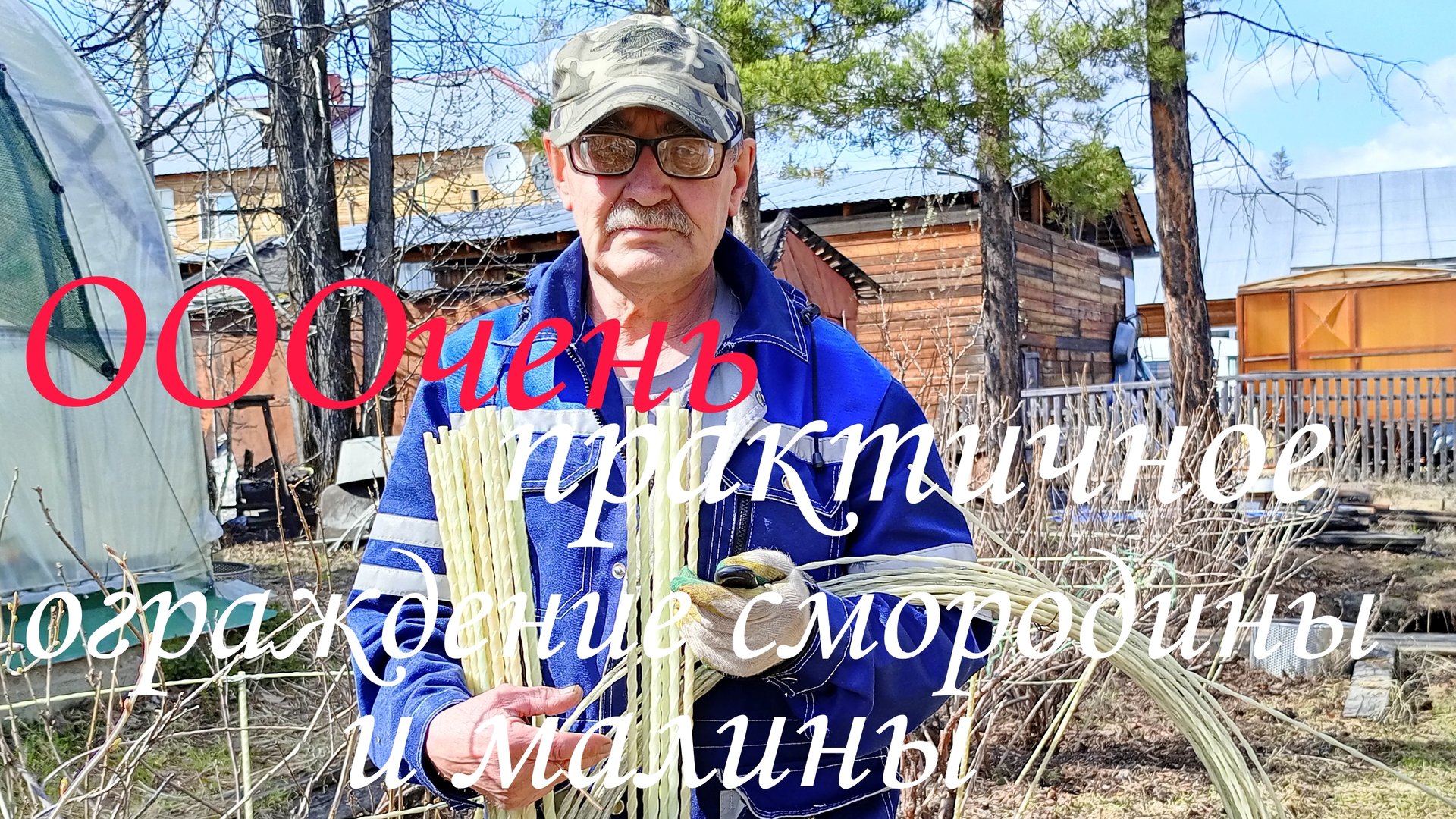 ОООчень практичное ограждение смородины и малины часть1 #смородина#малина#ограждение#стеклопластик# смотреть онлайн