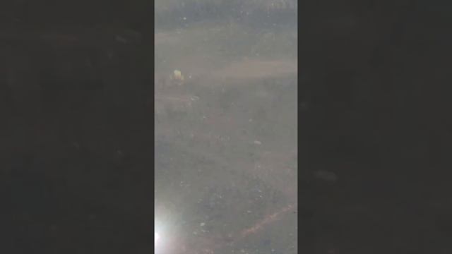 Хотите верьте, хотите проверьте...#верювчудо#всемогу# смотреть онлайн