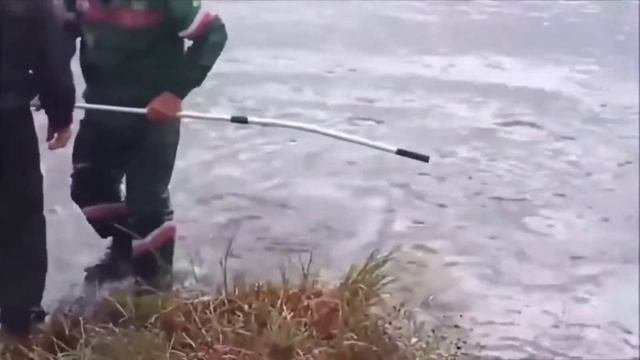самые смешные приколы на рыбалке топ 10 уловов рыбаков