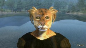 Игровые приколы: The Elder Scrolls IV: Oblivion – Ты меня не видишь (смешные моменты в играх, ржака