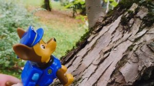 Клад в песочнице для игрушек Щенячий патруль и Робокар Поли. Детский садик - Видео для детей