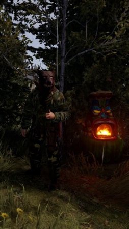 Маскировка В Rust