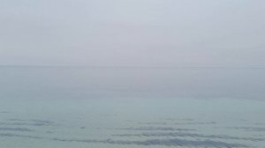Есть ли мазут на пляжах в Феодосии, Крым ?