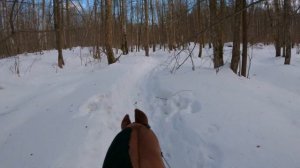 Hobbyhorsing in the forest! //  GoPro Pov // Хоббихорсеры