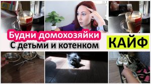 Будни домохозяйки с детьми и котенком. Приучение к лотку. Ест борщ