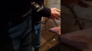 Приколы инг