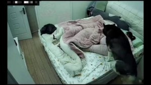 З-забота
