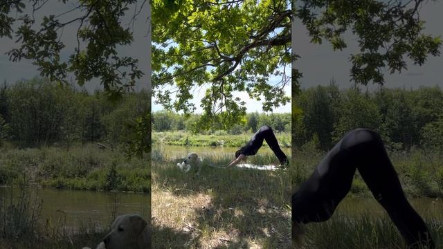 Комплекс Сурья Намаскар смотреть онлайн