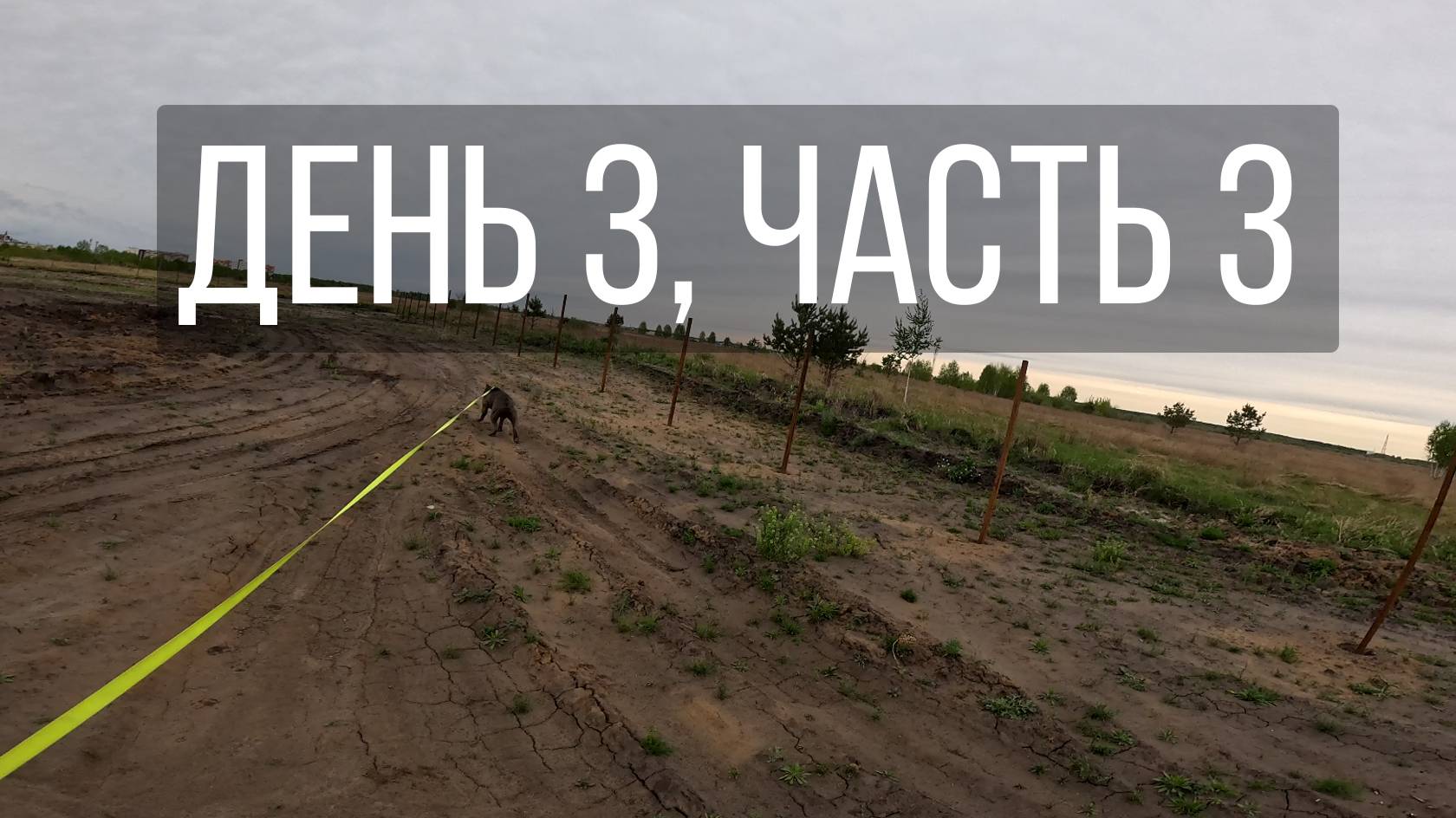 День 3, часть 3