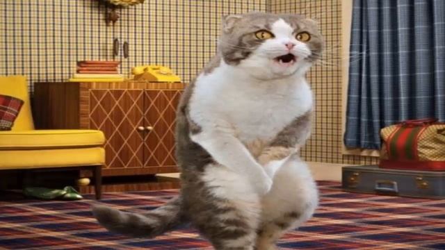 САМЫЕ НЕОЖИДАННЫЕ СНИМКИ В Google КАРТАХ | Google Maps смотреть онлайн