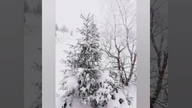 #Иремель 2019 смотреть онлайн