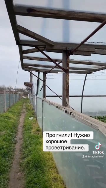 30 ноября 2024 г. смотреть онлайн