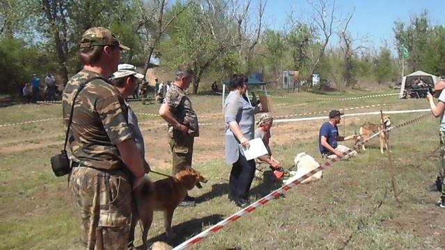 ринг лаек 3 смотреть онлайн