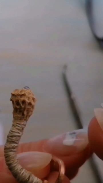 Наконечник-ракушка для крючка в коридор. Папье маше смотреть онлайн