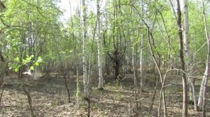 Бродилки от Бродислава 255