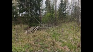 Посадников остров, садоводческое некоммерческое товарищество Кристалл