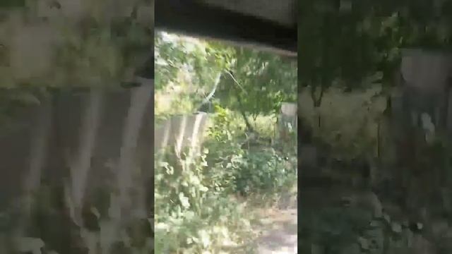 Поездка в горы. Чимган, Чарвак, Нанай. 8 июня. Узбекистан смотреть онлайн