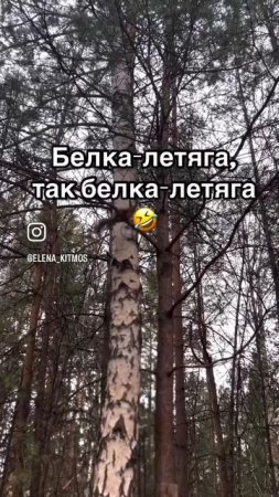 Проще согласиться