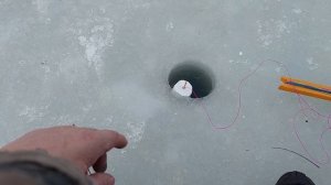 Испыиание новой снасти на подледной рыбалке