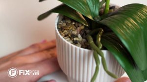 Декорация «Орхидея в горшочке» | FIX PRICE