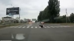 в стельку пьяная девушка с трудом переползает на друг?