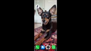 КАК СКАЧАТЬ КС 1.6 НА ANDROID 14 И 13