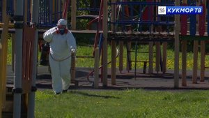 Клещи вышли на охоту