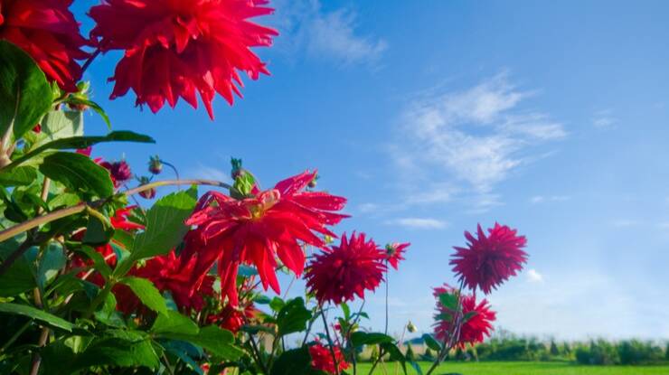 Песня "Зачем это лето" Кавер смотреть онлайн