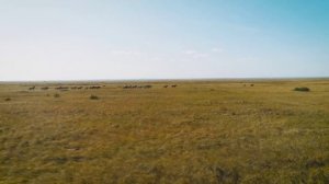 Регистрируйся на десятый Международный молодёжный форум «Евразия Global» 🌏