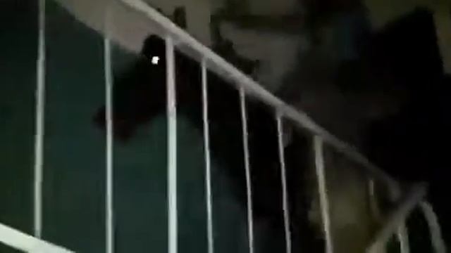 Казахстан. Домой поднялся на коне смотреть онлайн