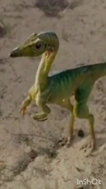 компсогнат против других динозавров смотреть онлайн