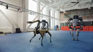 Танцы на Новый Год.🐄РОБОТЫ - танцоры.