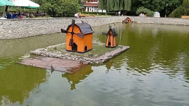 Повезли на стерилизацию Лунку,как прошло ВСЁ 🧐 смотреть онлайн