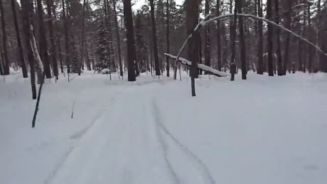 03-03-2018 Лыжный поход Караульная- Дивногорск