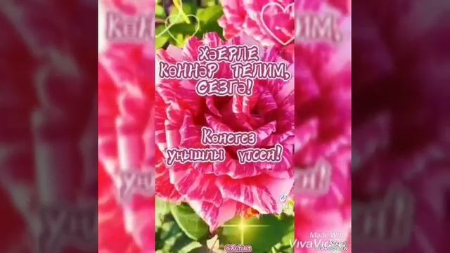 Сөю җыры смотреть онлайн