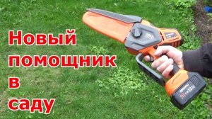 Аккумуляторная цепная пила для сада и огорода