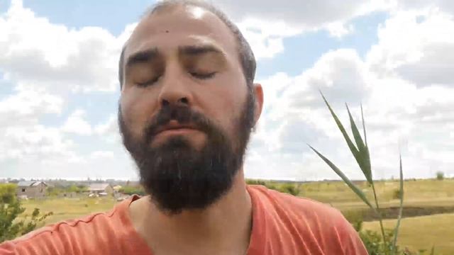 ох уж эти ПТИЧКИ да ХРЮШКИ смотреть онлайн