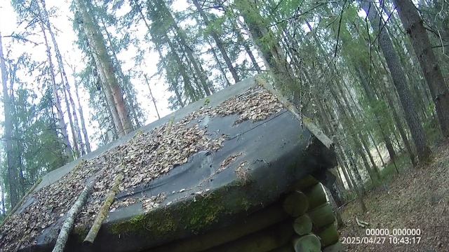 Заброшенная нами охотизбушка.