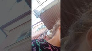 Всё-таки собаки разговаривают!!!!!!!🐶🐕🐕🦺🦮