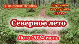 Лето на Севере.