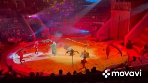 Воронеж цирк 2023г