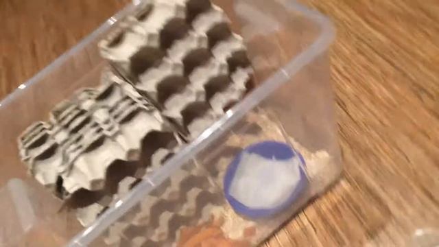 Посылка из Питера! смотреть онлайн