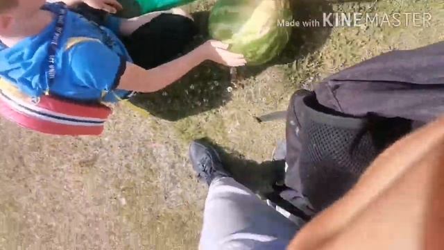 VLOG: КУПИЛИ АРБУЗ И СЪЕЛИ