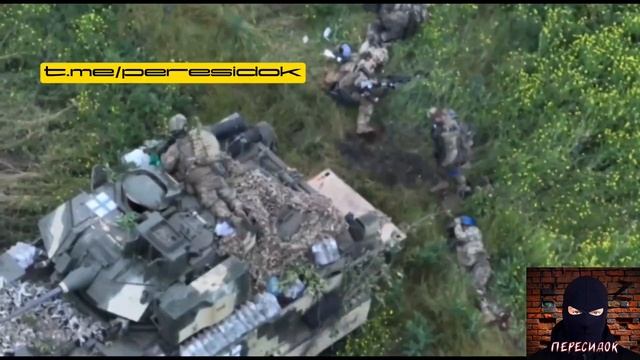 Тарасики заехали на минное поле