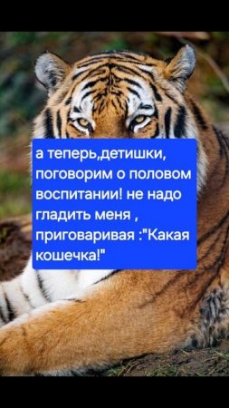 маленькие трагедии