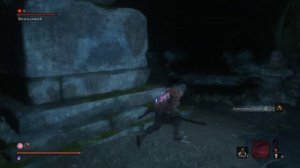 SEKIRO безголовый в опустившейся долине